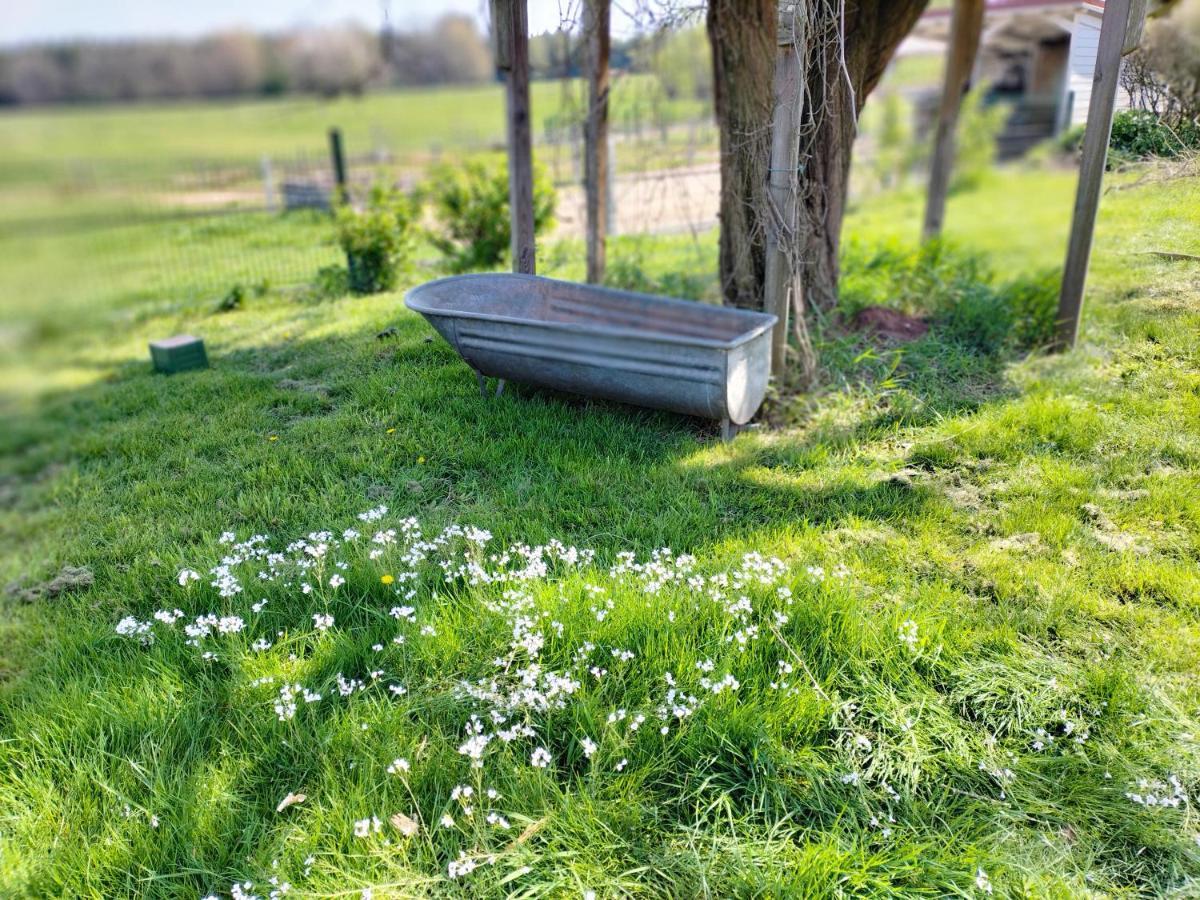 Les Hortensias La Souris Des Champs Apartment Etival-Clairefontaine ภายนอก รูปภาพ